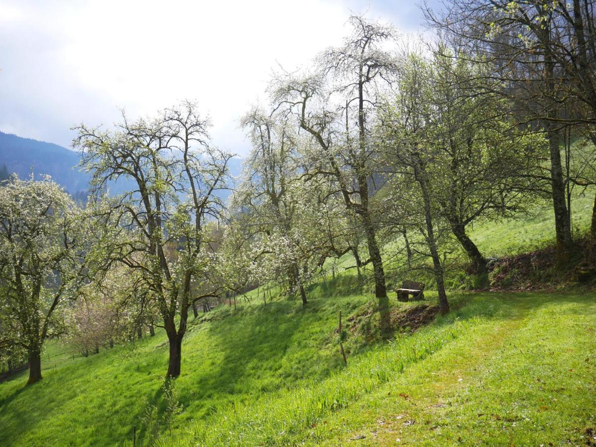 Buehlbauernhof Bad Peterstal-Griesbach Exterior foto