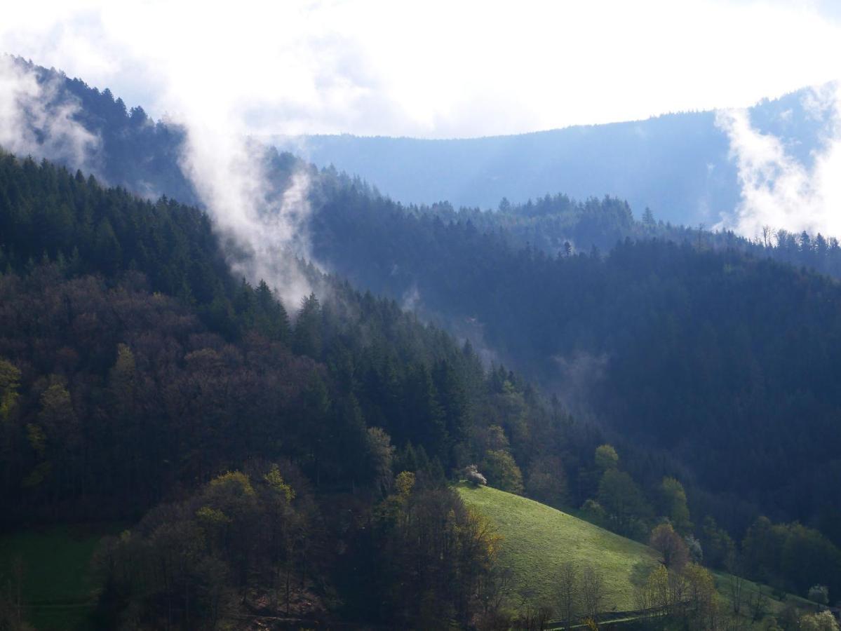 Buehlbauernhof Bad Peterstal-Griesbach Exterior foto